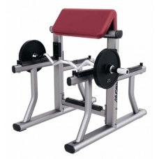 SAC Arm Curl Bench